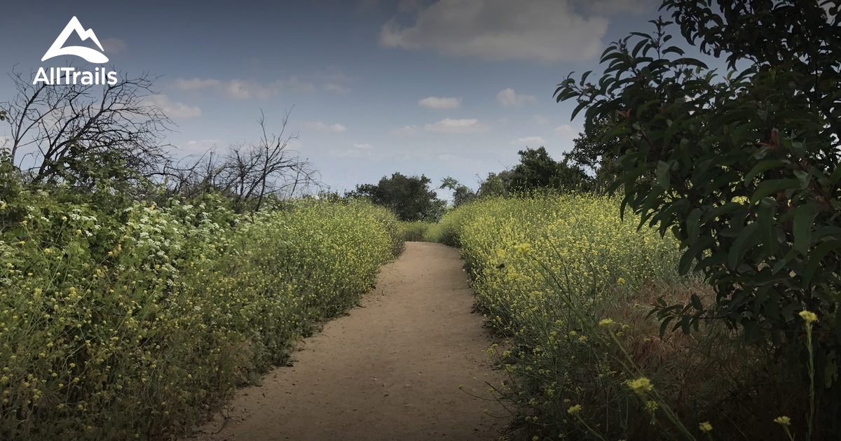 10 Best Trails and Hikes in Whittier AllTrails