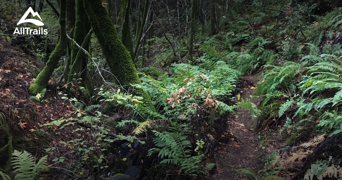 Best trails in Woodacre, California AllTrails