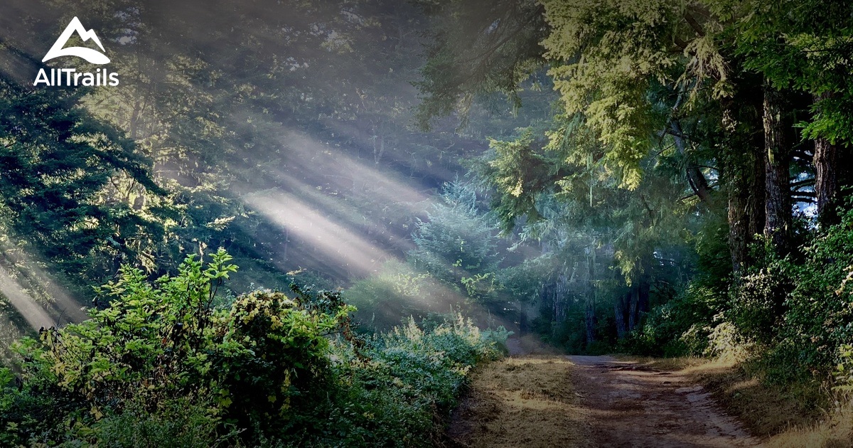 10 Best trails and hikes in Woodside AllTrails