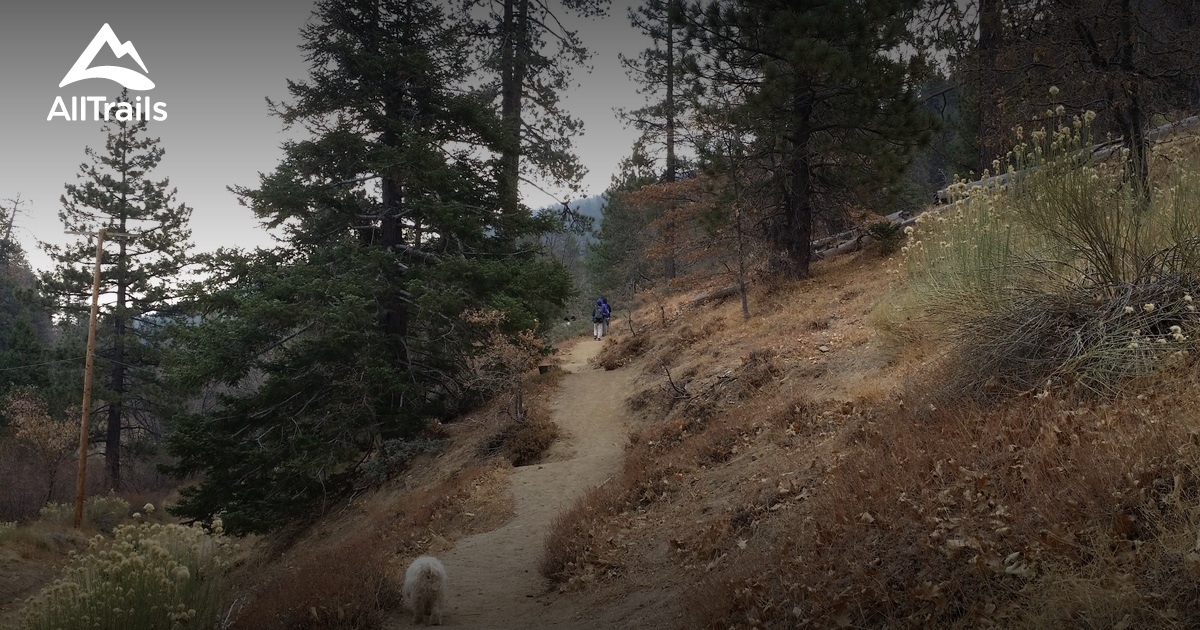 Best Trails near Wrightwood, California AllTrails