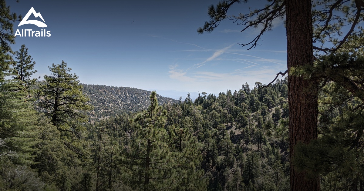 2023 Best 10 Trails and Hikes in Wrightwood AllTrails