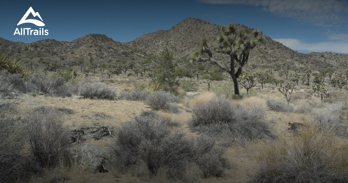Best Trails near Yucca Valley California 273 Photos & 170 Reviews