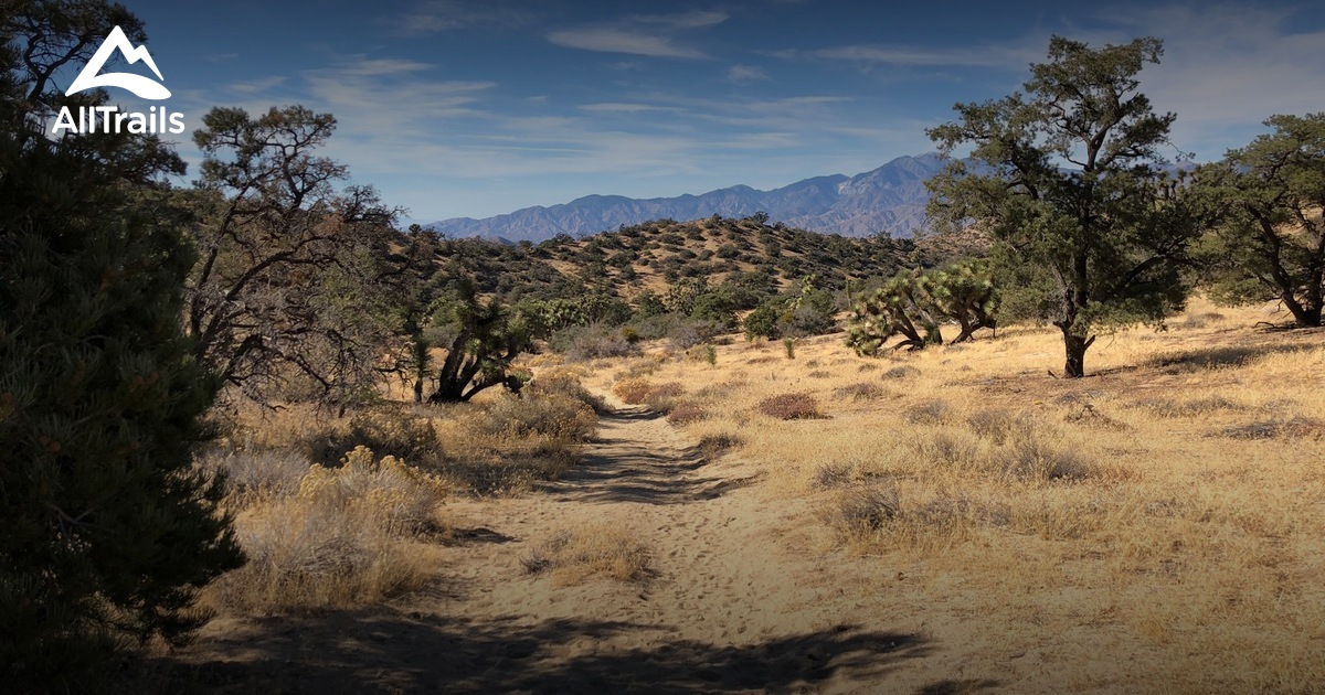 Best Trails near Yucca Valley, California AllTrails
