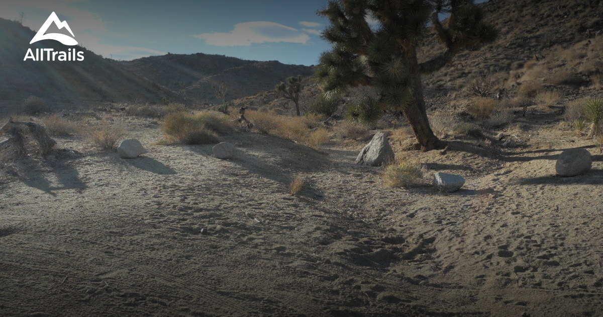 Best Trails near Yucca Valley, California AllTrails