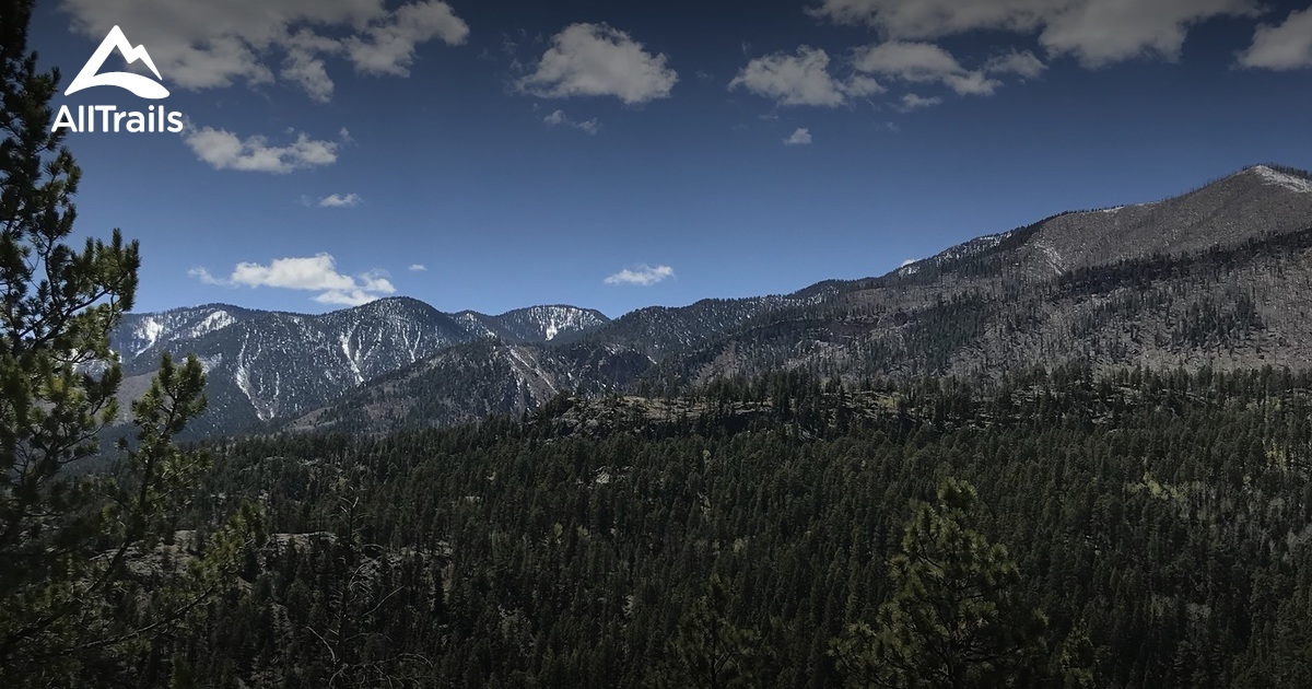 Best Trails near Bayfield, Colorado | AllTrails