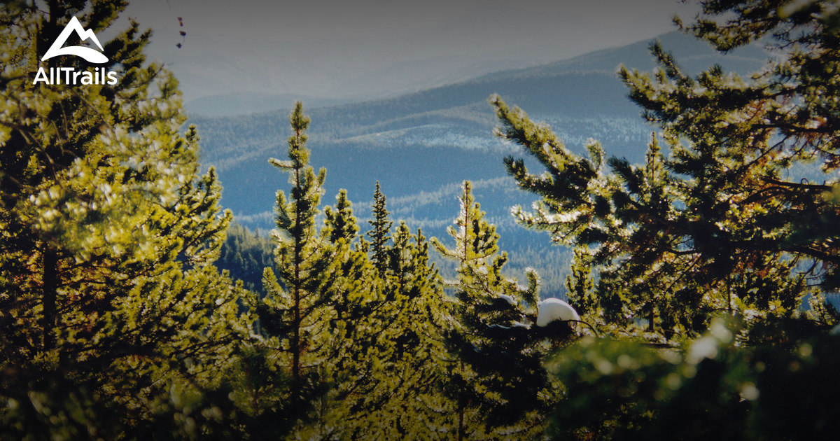Best Trails near Fraser, Colorado | AllTrails