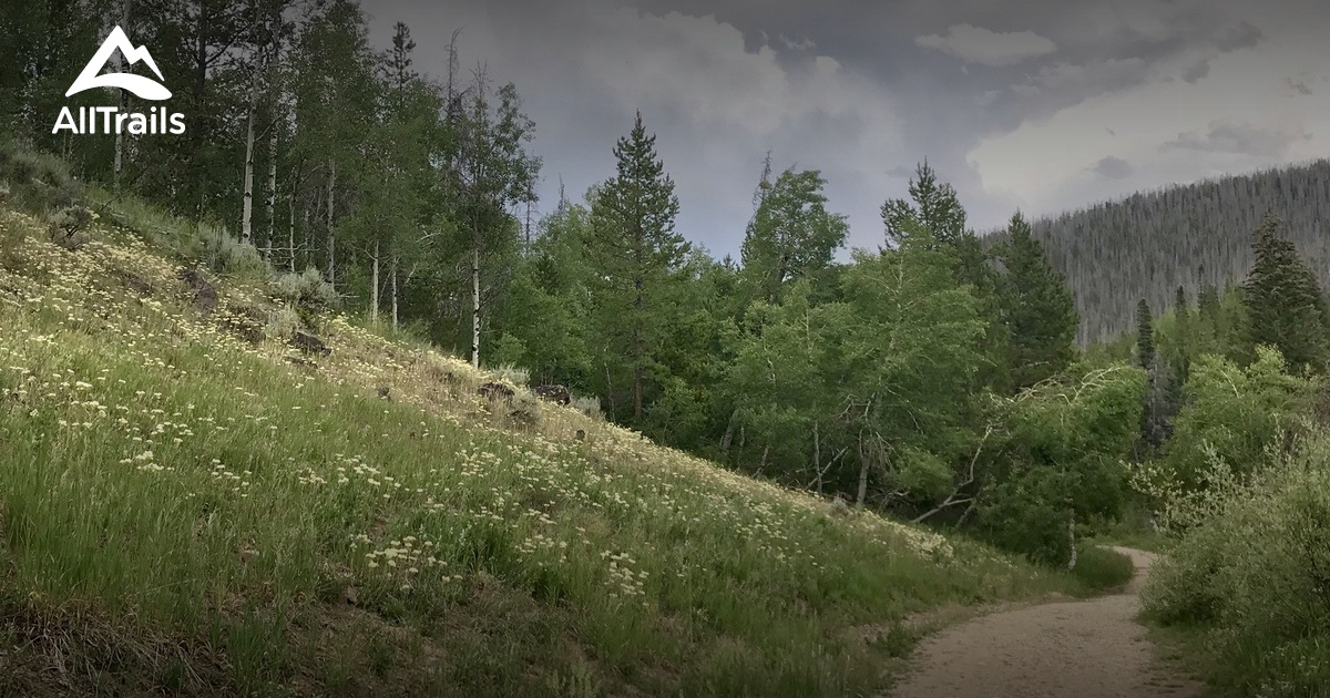Best Trails near Fraser, Colorado AllTrails