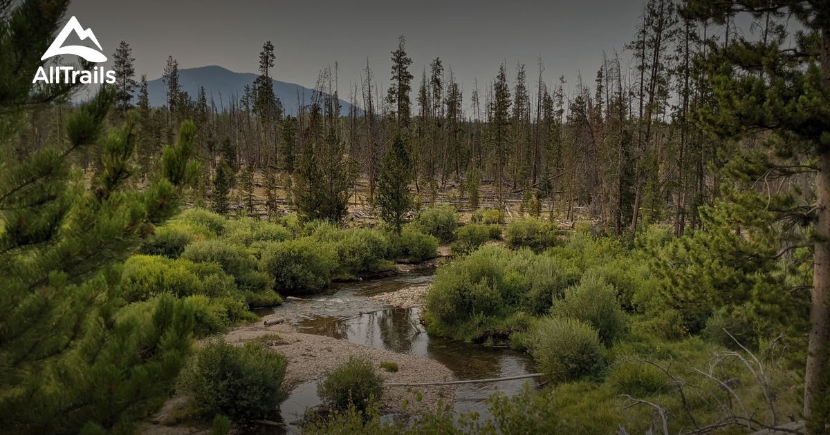 10 Best Trails and Hikes in Fraser AllTrails