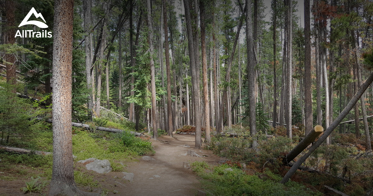 Best Hikes and Trails in Jamestown AllTrails