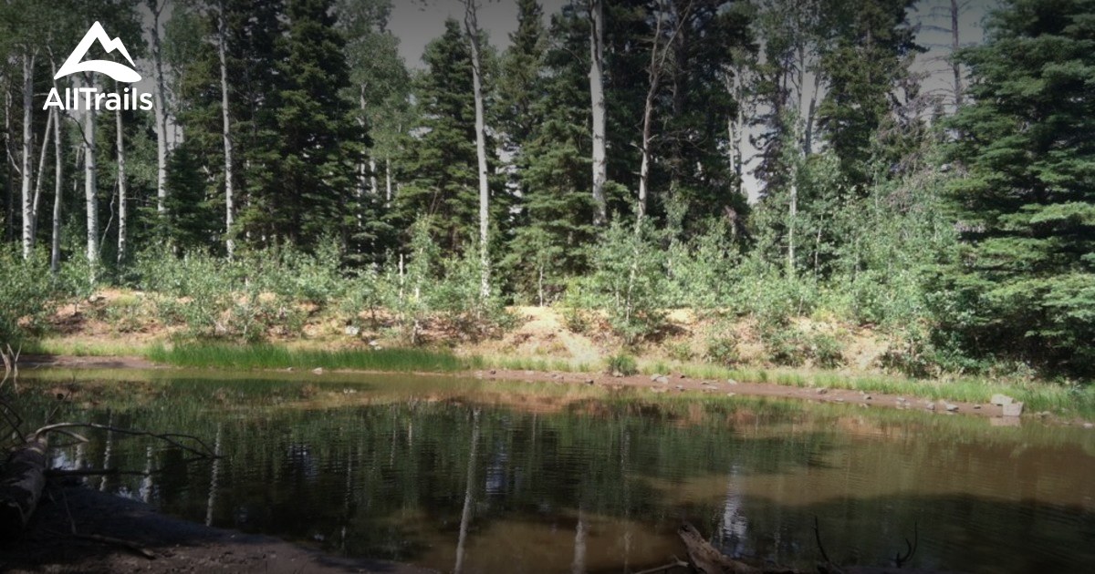 Best Trails near Nucla, Colorado AllTrails