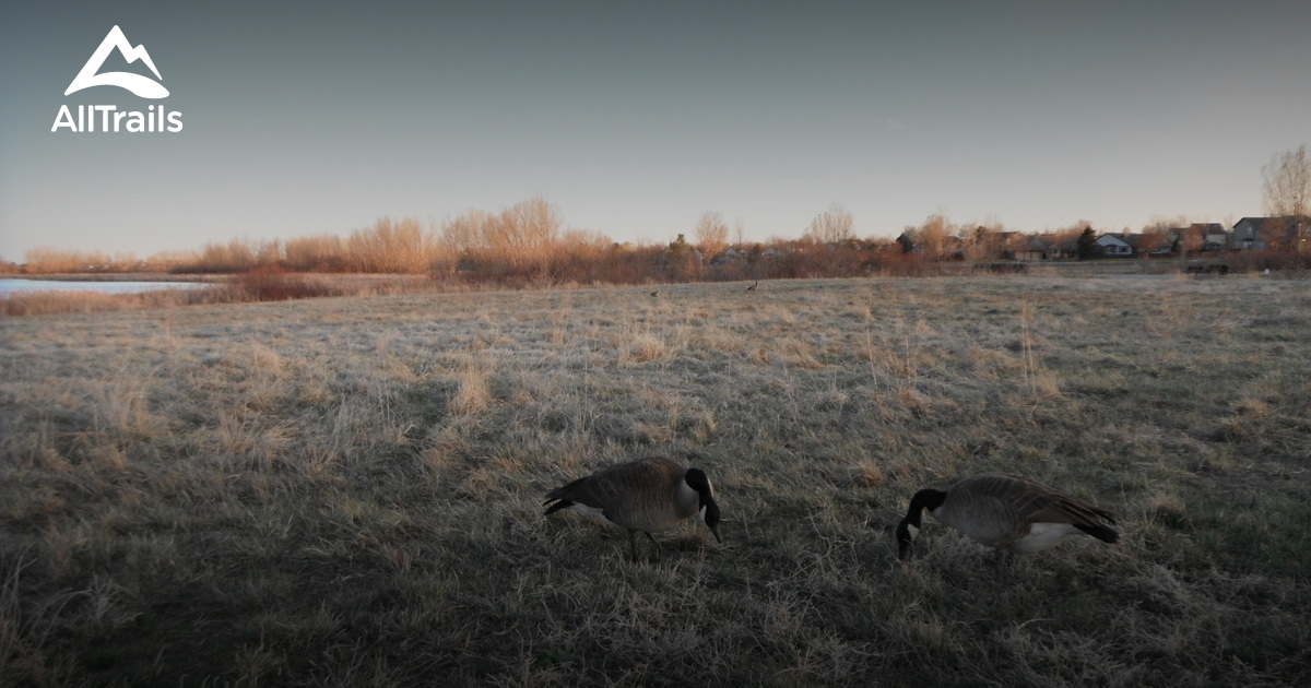 Best Hikes and Trails in Thornton AllTrails