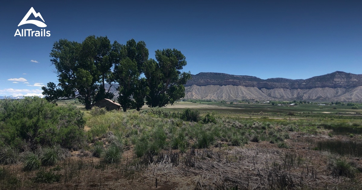 2023 Best Views Trails in Towaoc AllTrails