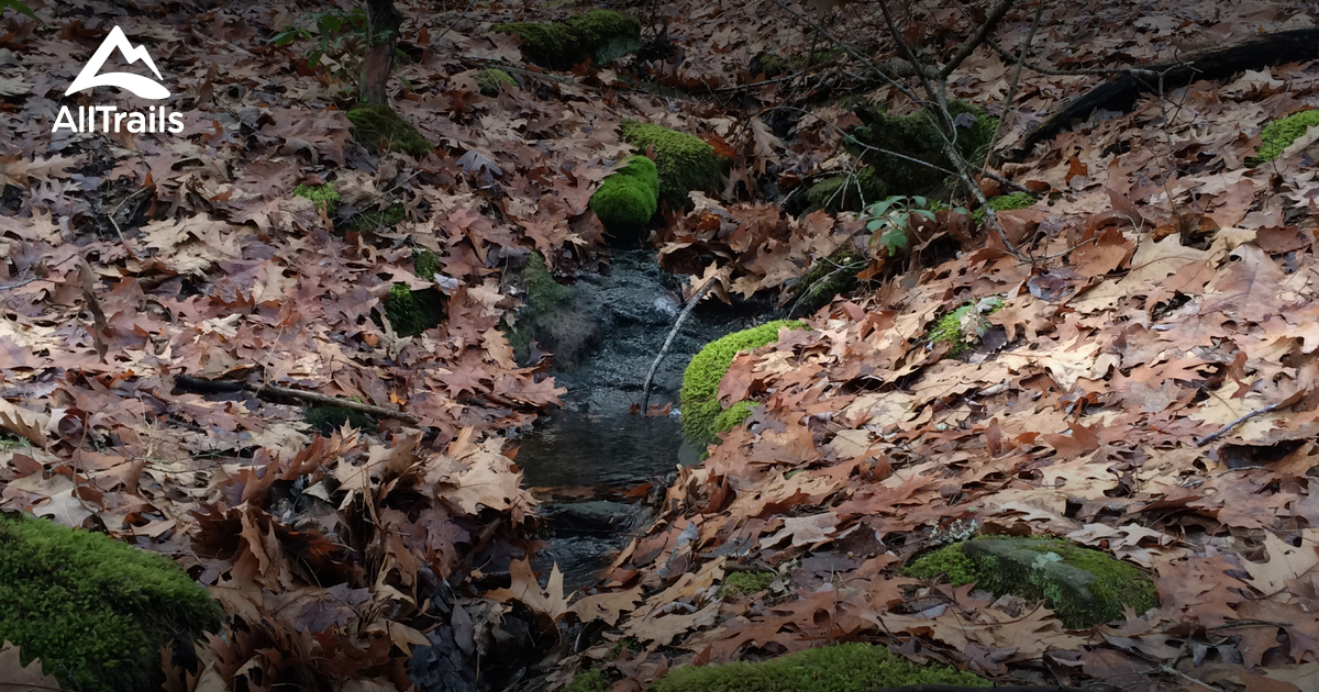 10 Best Trails and Hikes in Ashford AllTrails