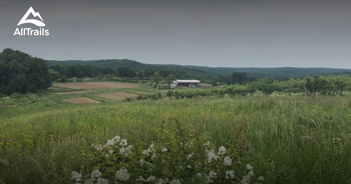 Best Wildlife Trails in Easton AllTrails