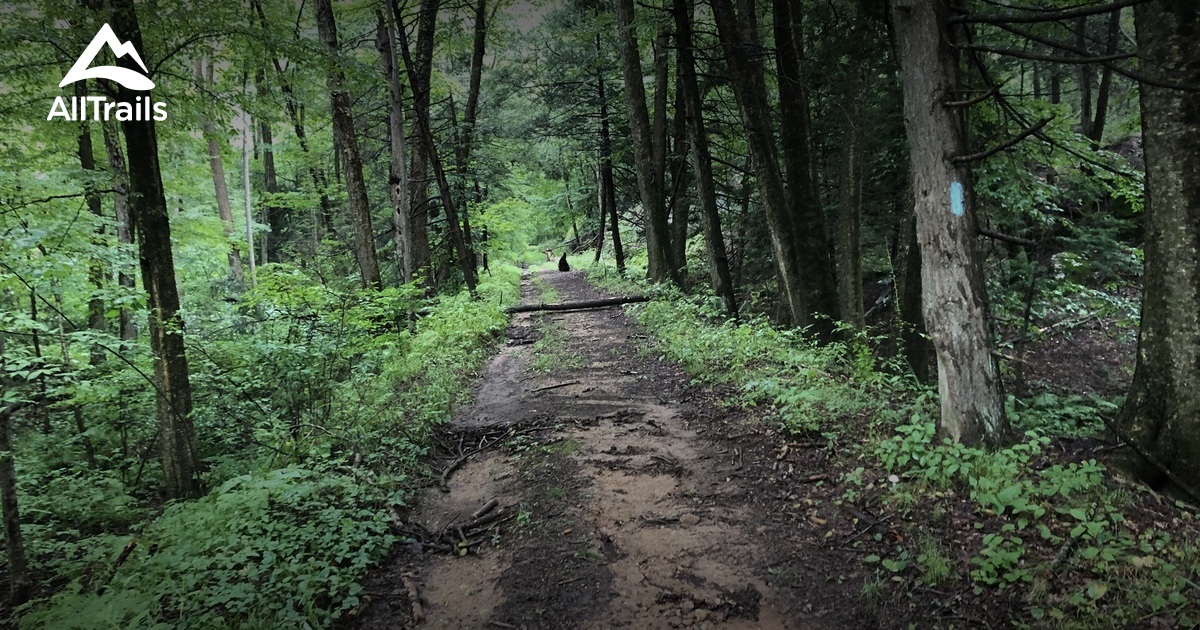 Best trails in Higganum, Connecticut AllTrails