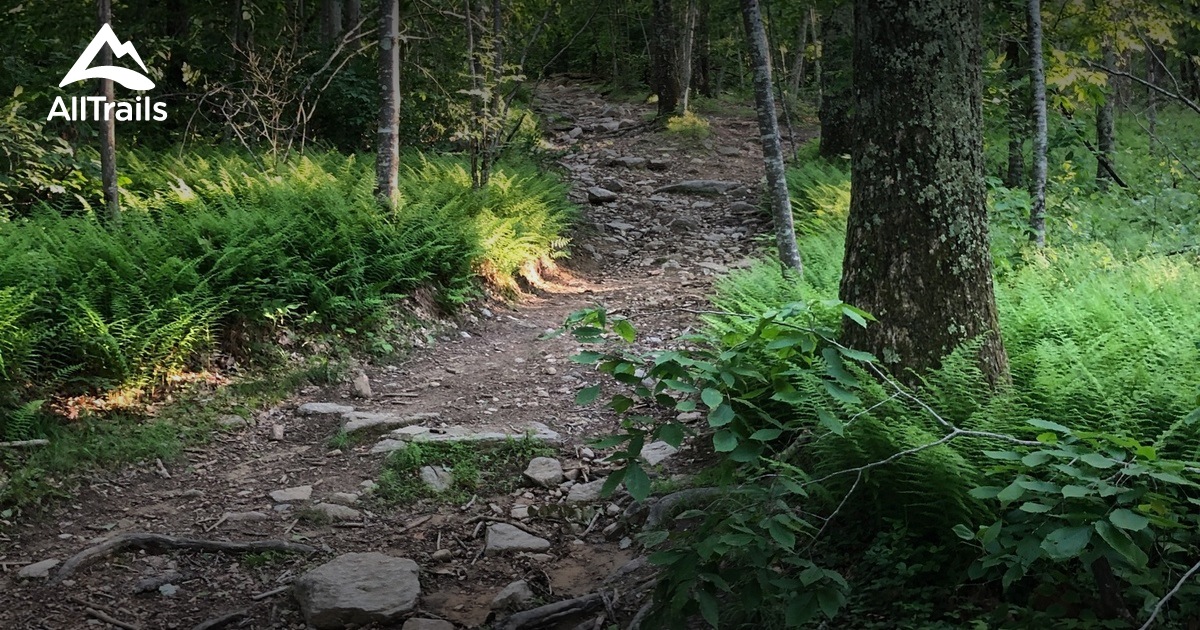 Best Hikes and Trails in Jewett City AllTrails