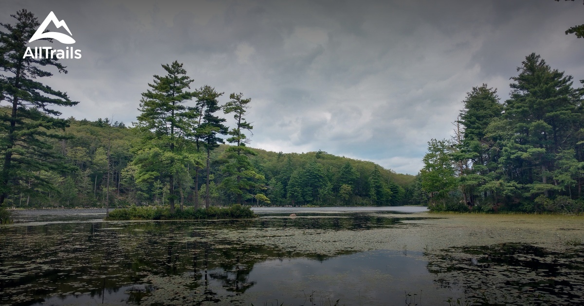 Escape to Nature's Embrace: A Guide to Stafford State Park