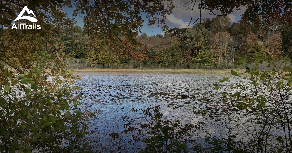 Best Hikes and Trails in Willington AllTrails