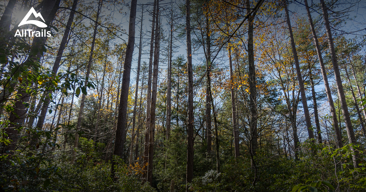 Best lake trails in Woodstock AllTrails