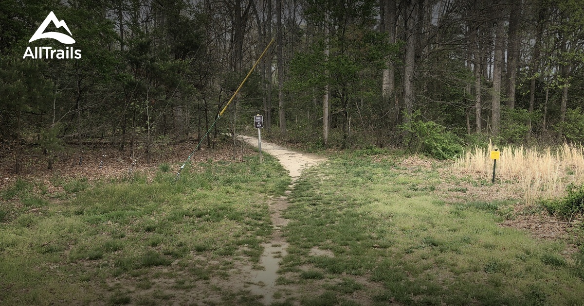 Small-Town Serenity: 5 Scenic Hiking Trails in Milford – Delaware Small-Town Serenity: 5 Scenic Hiking Trails in Milford – Delaware