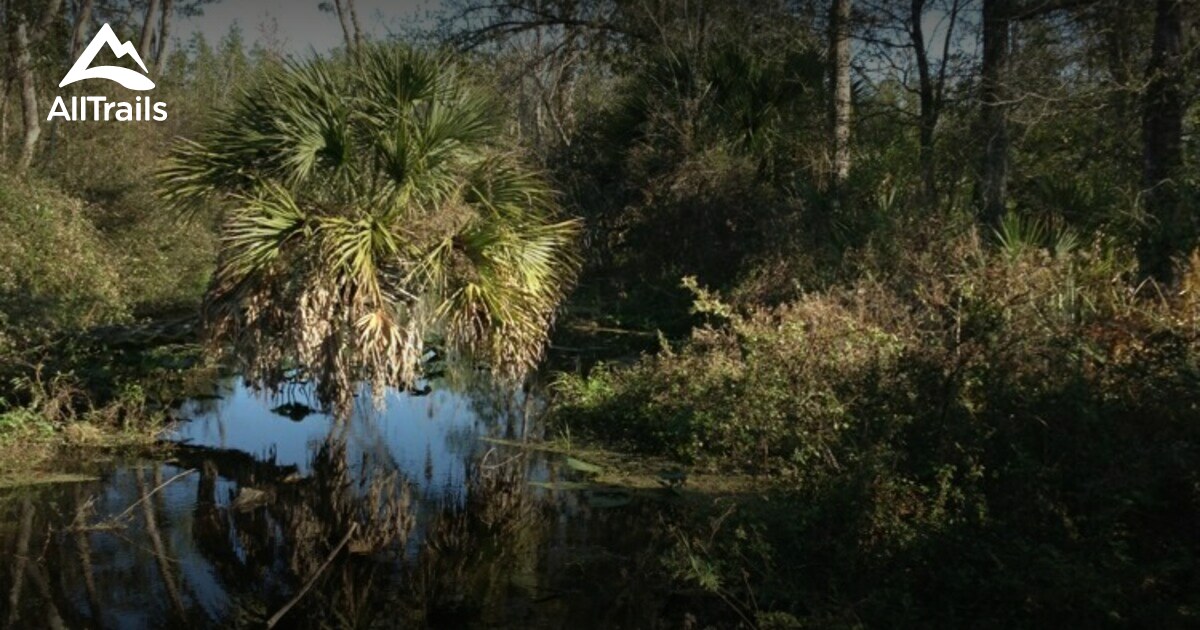 Best Hikes and Trails in Babson Park AllTrails