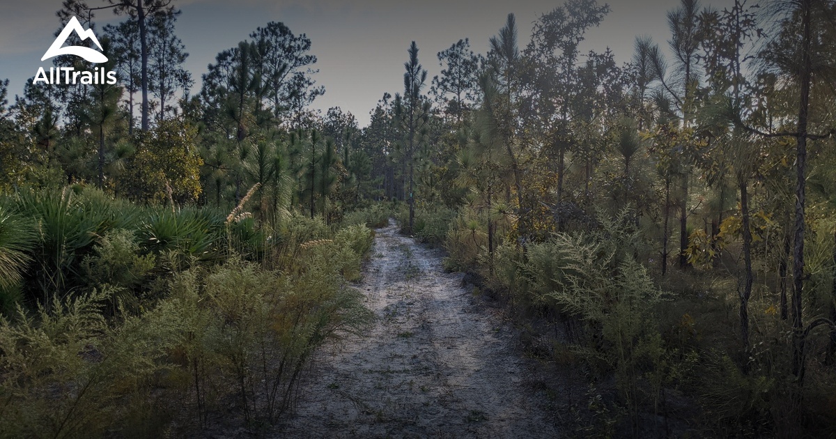 Best Hikes and Trails in Callahan AllTrails