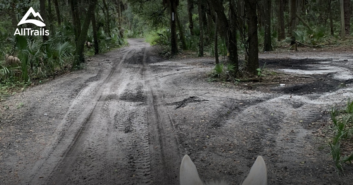 Best Hikes and Trails in Cocoa AllTrails