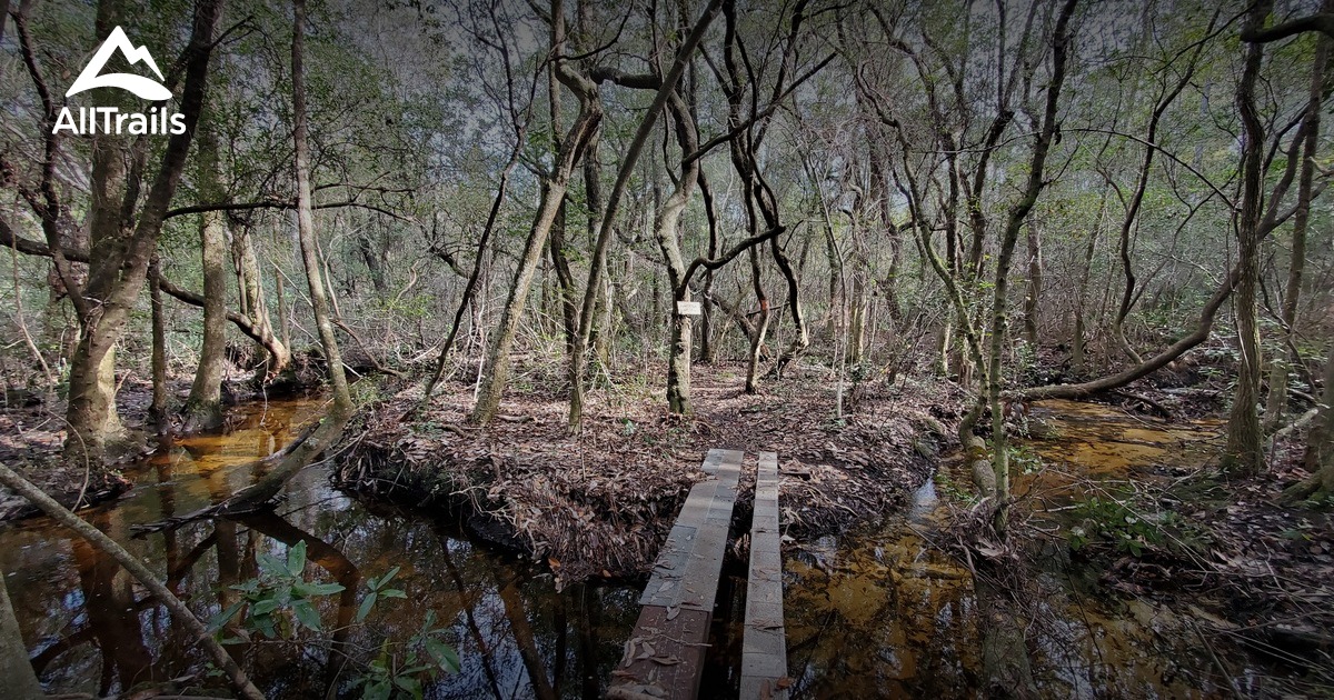 2023 Best Dogs On Leash Trails in Freeport AllTrails