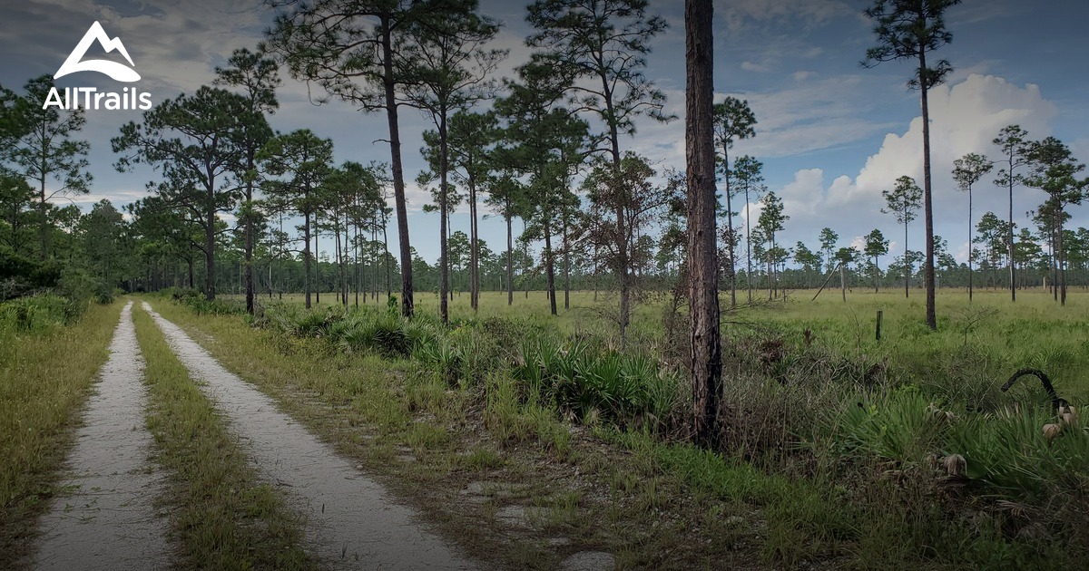 Best Hikes and Trails in Frostproof AllTrails