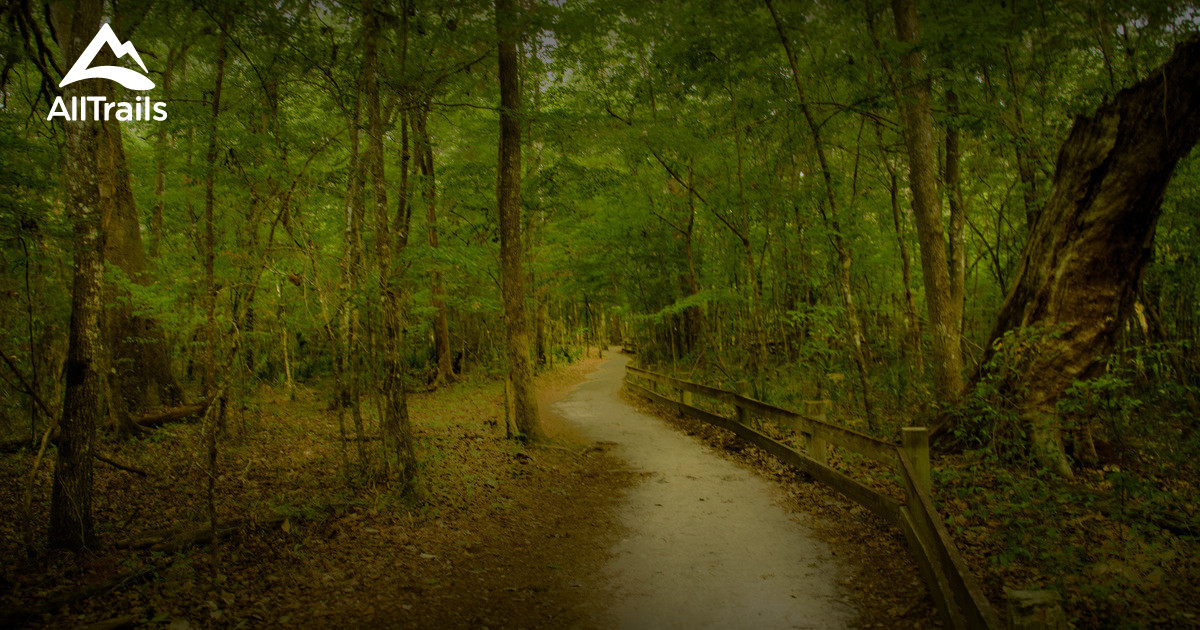 City map Gainesville Florida 3 10 Ai