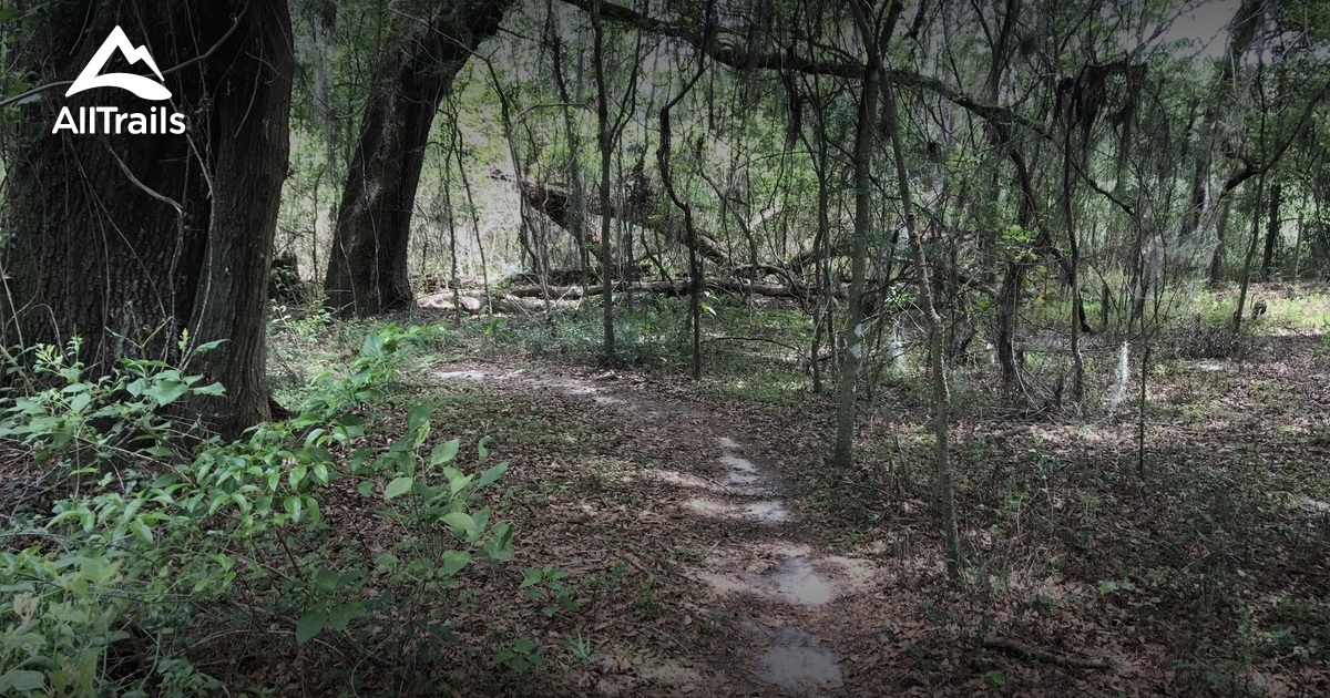Best Trails near Gainesville, Florida AllTrails