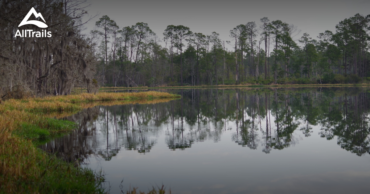 Best Hikes and Trails in Interlachen AllTrails