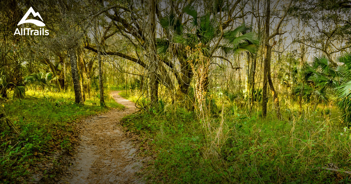 10 Best trails and hikes in Micanopy - AllTrails