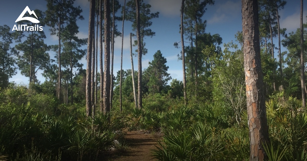 Best trails in North Fort Myers, Florida AllTrails