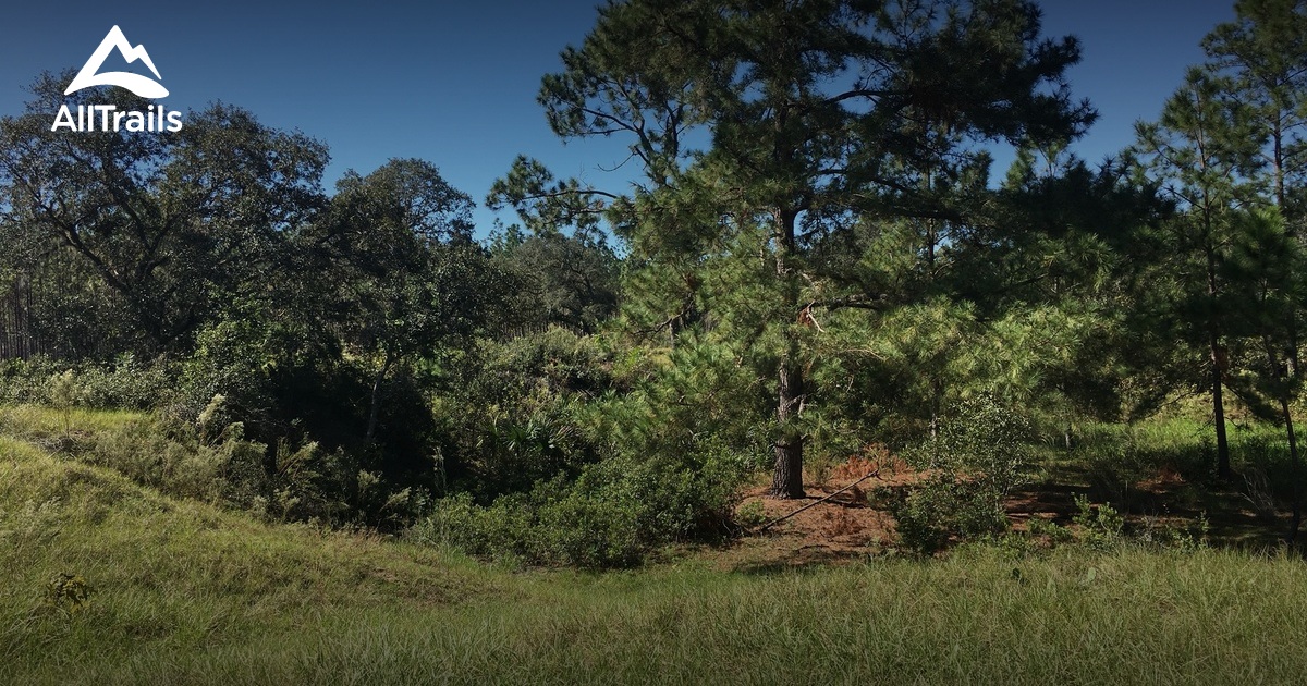 10 Best trails and hikes in Ocklawaha | AllTrails