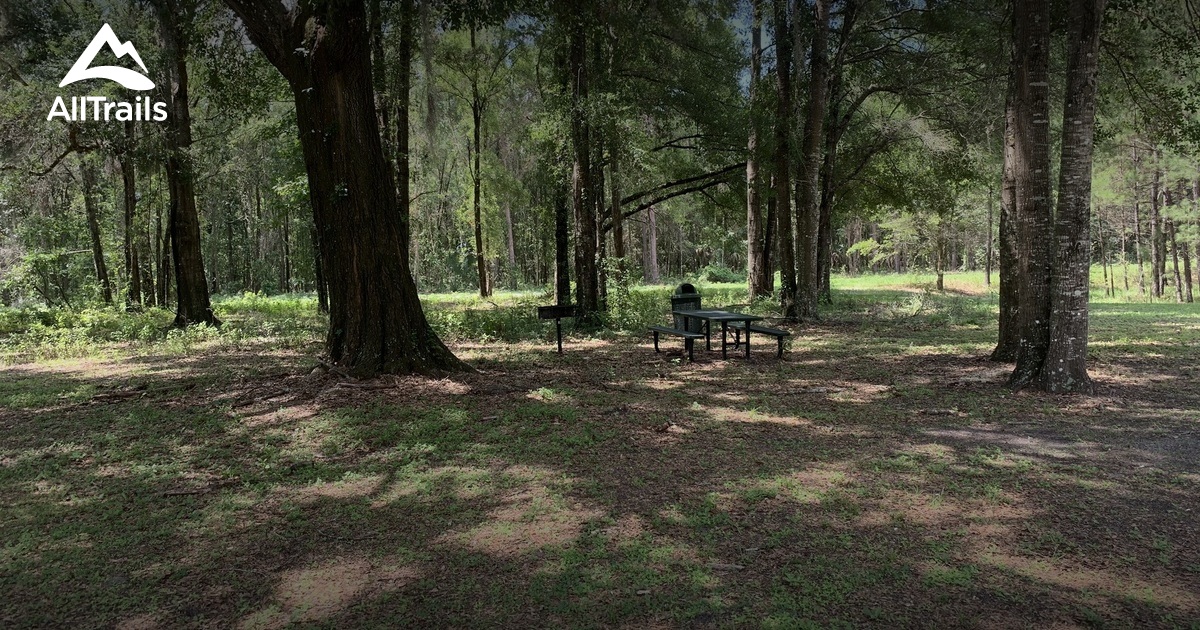 2023 Best Forest Trails in Reddick AllTrails