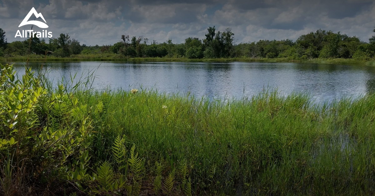 Best Trails near Riverview, Florida AllTrails