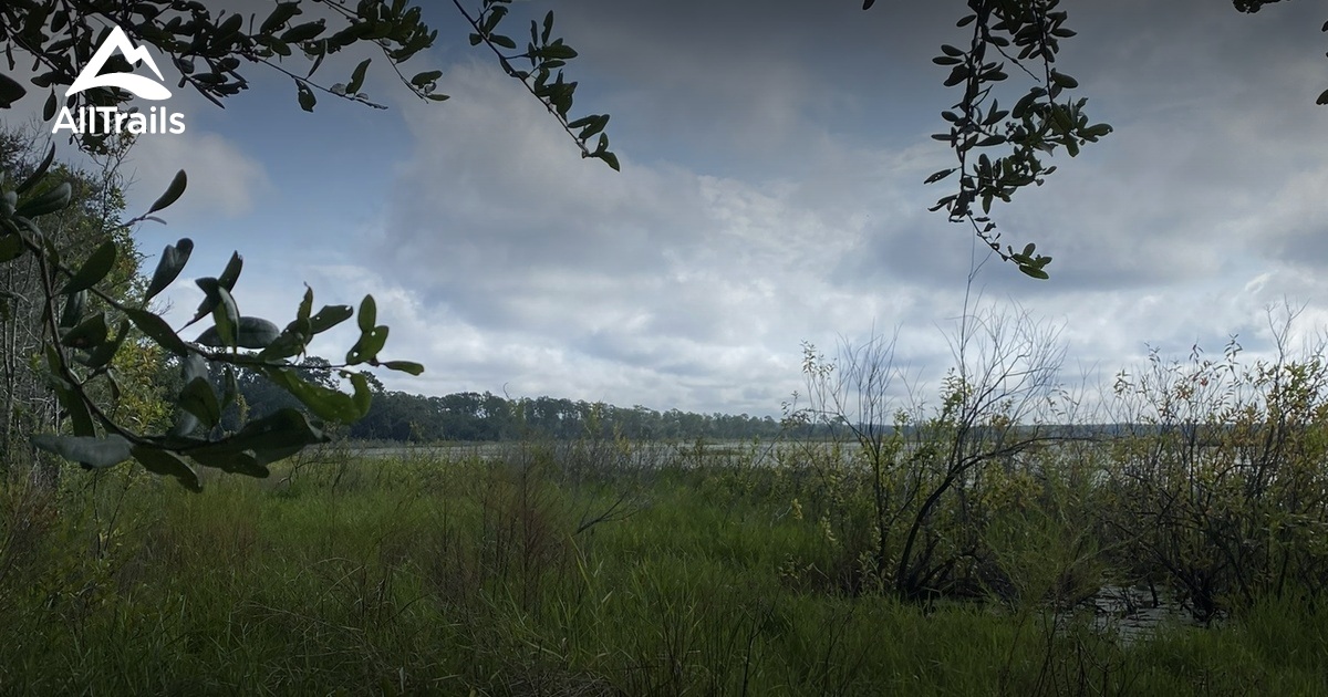 Best Hikes and Trails in Salt Springs AllTrails