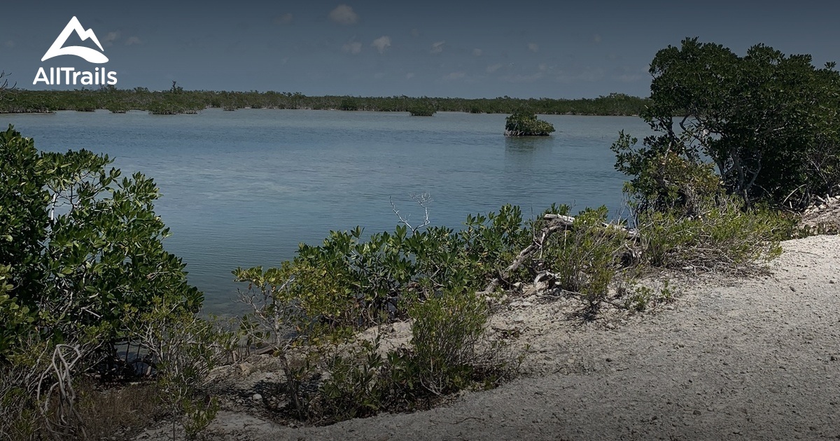 Best Hikes and Trails in Sugarloaf Key AllTrails