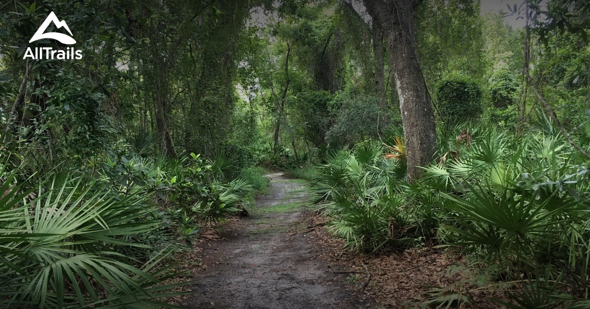 Best Trails Near Tavares Florida 26 Photos 10 Reviews AllTrails