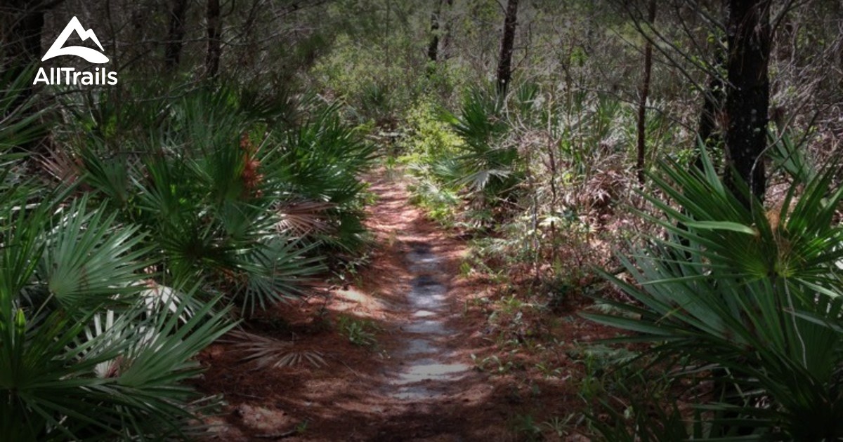 Best Trails near Wimauma, Florida