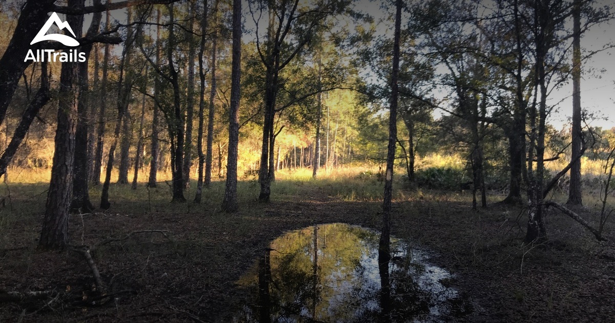 Best Trails near Zephyrhills, Florida AllTrails