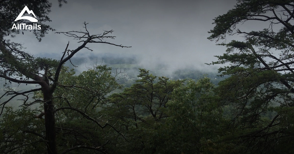 Best Trails near Dalton,