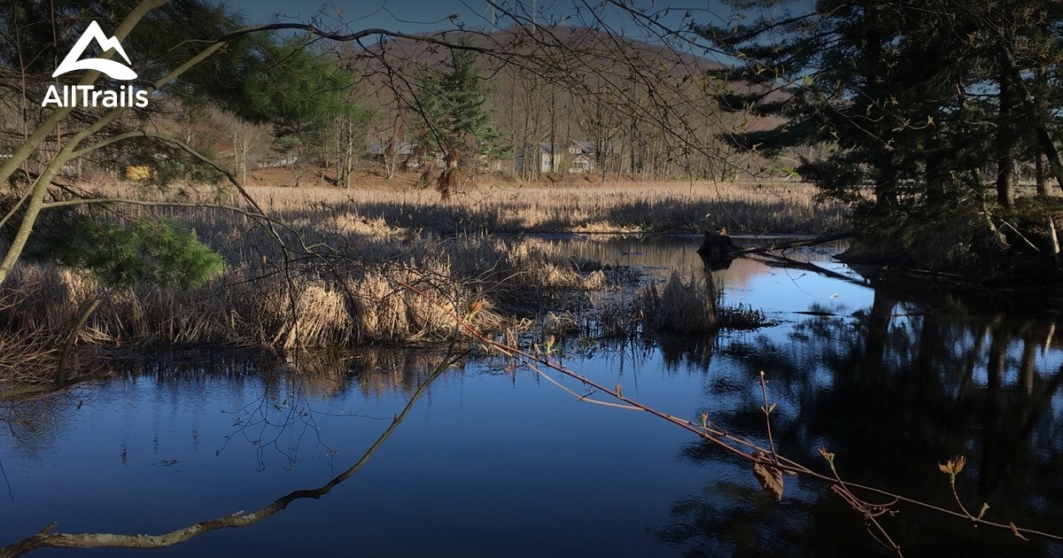 Best Hikes and Trails in Elberton | AllTrails