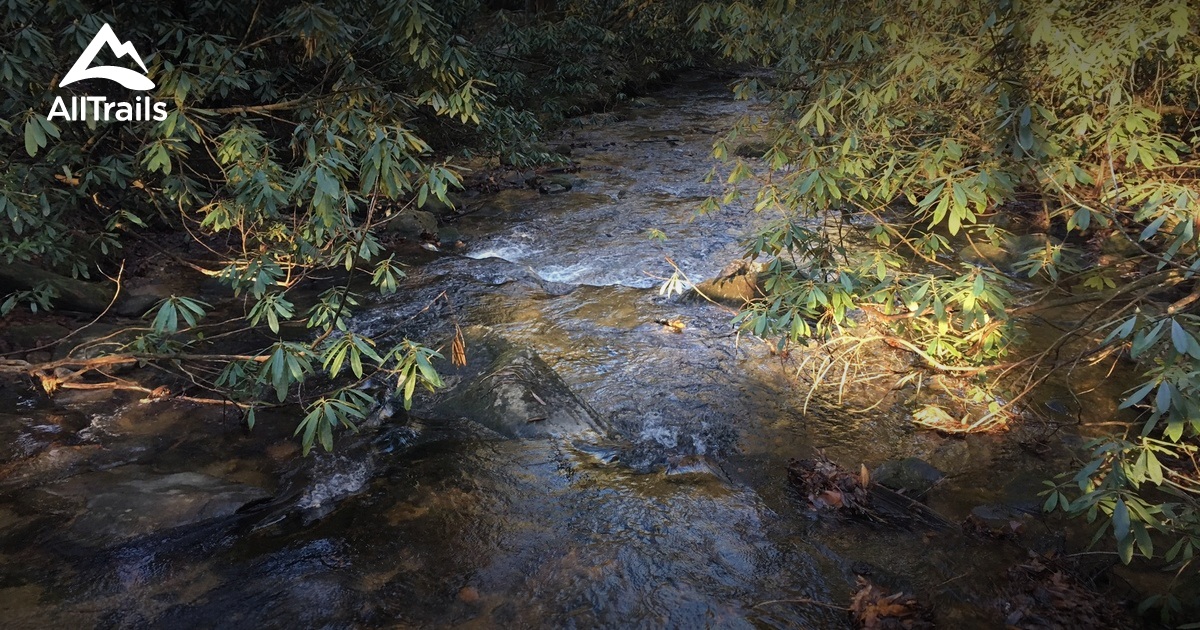 Best Trails near Ellijay, AllTrails