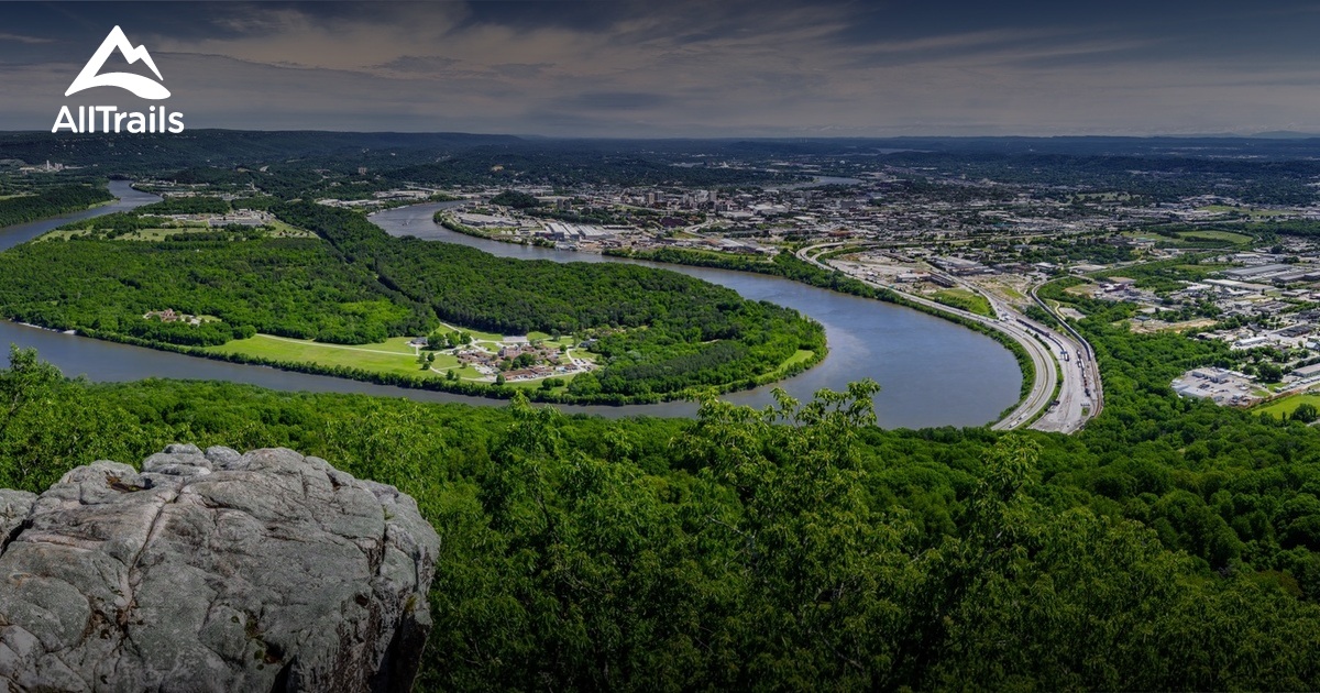 se permiten perros en lookout mountain tn