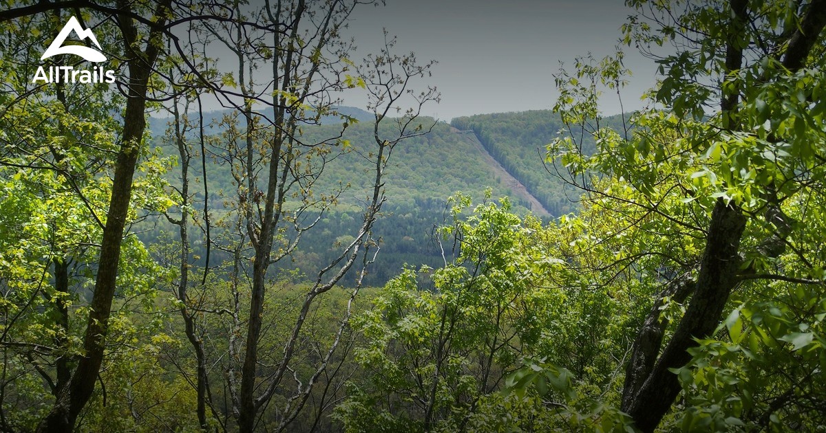 Best Trails near Lyerly, AllTrails