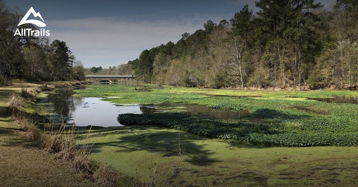 2023 Best Lake Trails in Millen AllTrails