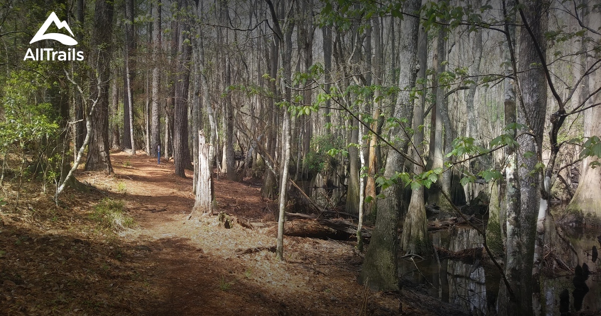 Best Hikes and Trails in Nicholls AllTrails