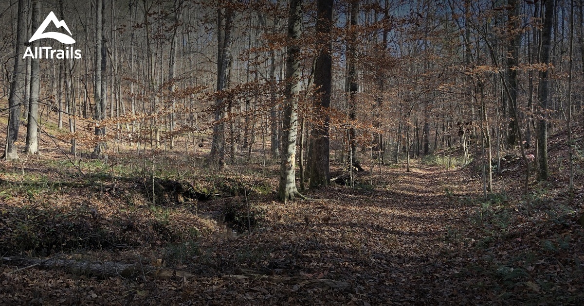 Best Trails near Rocky Face, AllTrails